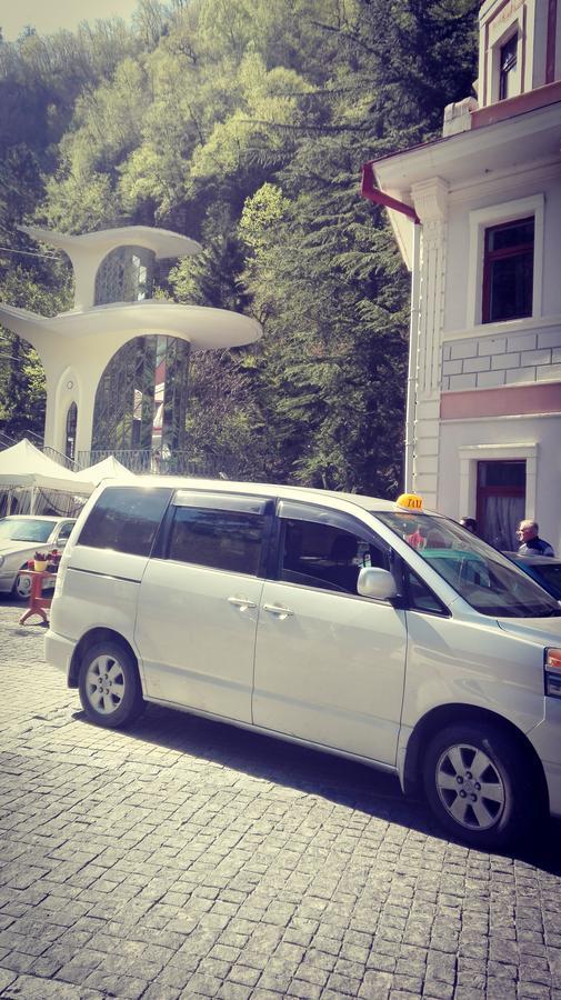 Apartament GIORGI Borjomi Esterno foto